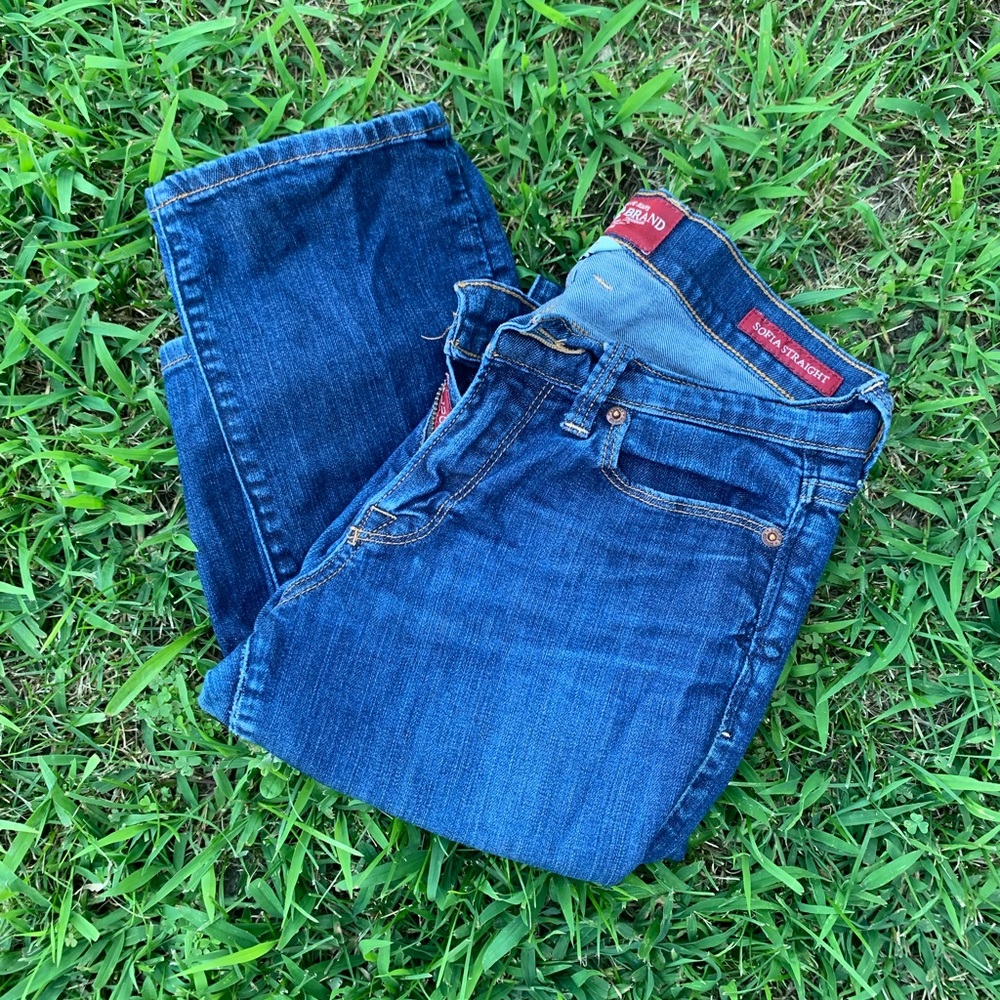 Lucky Brand Jeans straight cut ankle size 2/26